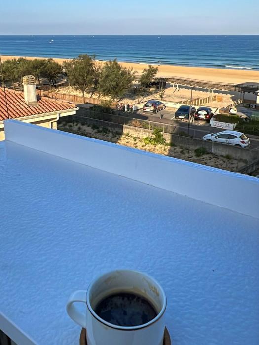 Family Beachfront Apartment with Ocean Views