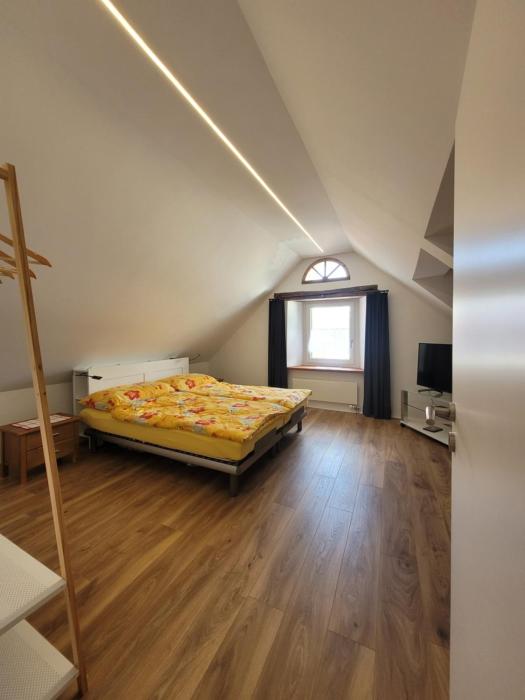 Ferienwohnung- Appartement am Rhein