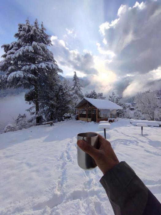 Kabirs Chalet Shangarh