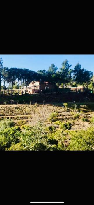 Villa Medau Becciu Adults only Heritage estate