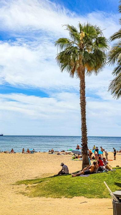 vivienda centrica frente al mar