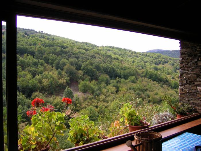 Chalet Su Foxile