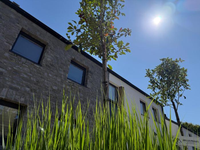 sous les feuilles Redu