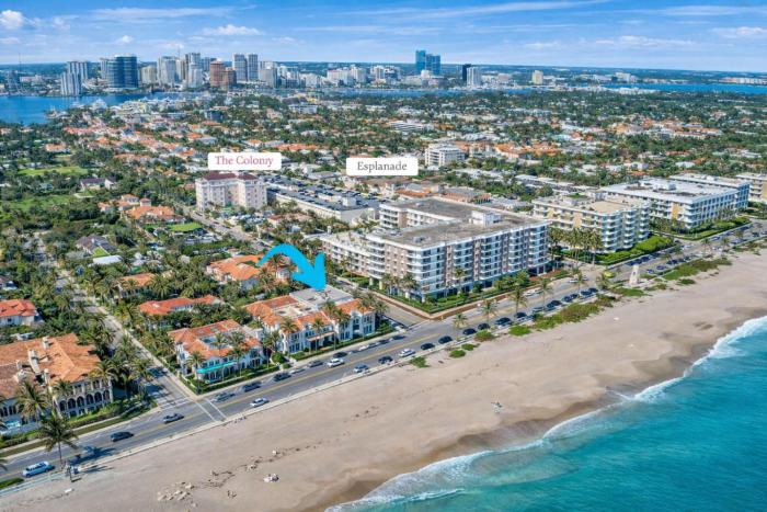 The Palm Beach House - Tropical