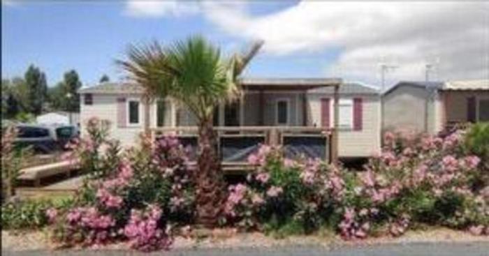 Mobil home Mon Oasis de rêves Les Palmiers