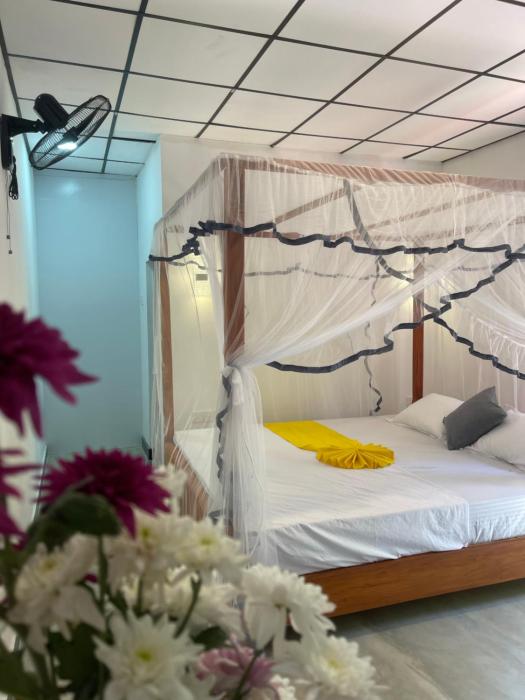 Amelia Rooms