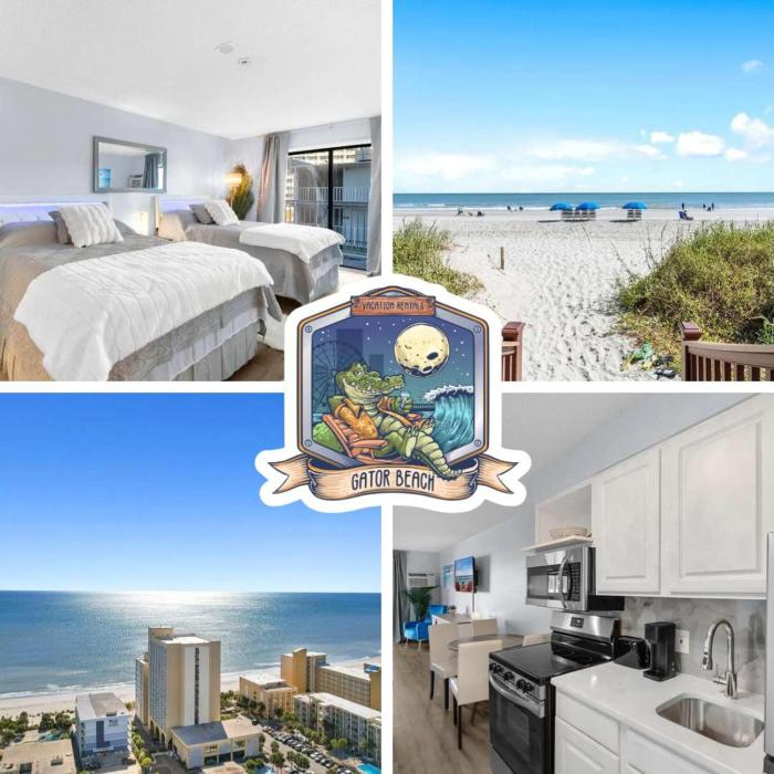 Oceanview Condo-Balcony + Beach Access