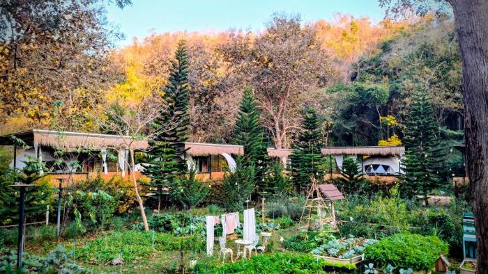 The Forest Camp Khaoyai เดอะฟอเรสแคมป์ เขาใหญ่