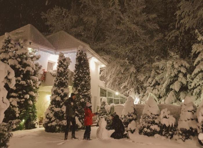 "FOREST RETREAT Luxury Villas"