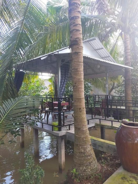 Homestay Vườn Dừa