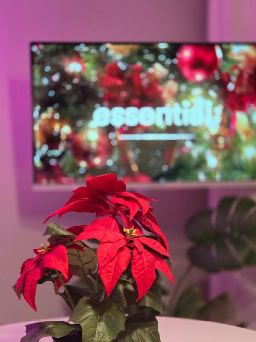 We & Seongsu Stay , SEOUL