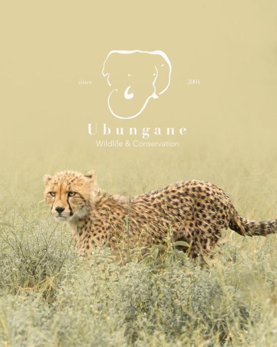 Ubungane Lodge
