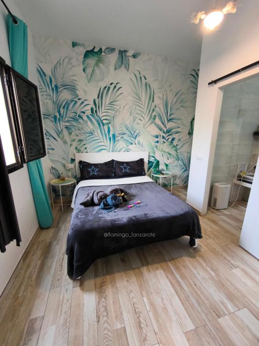 Habitación cactus, entrada privada y baño privado en suite by flamingo house, no fumadores