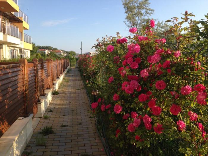 Large Two Floor Apartment