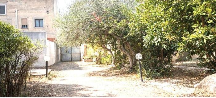 Oasi Mediterranea La Campidanese