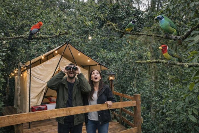 Glamping Colibrí, bosque vecino y vista a la montaña al mismo tiempo