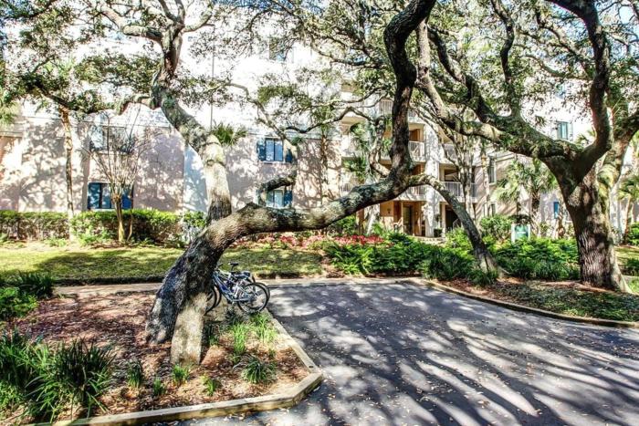 Dog-friendly oceanfront getaway with shared pool & central AC