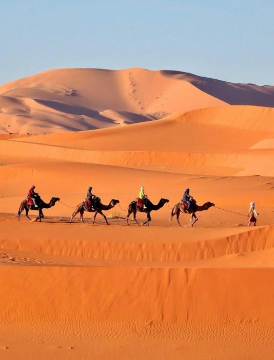Merzouga desert camp