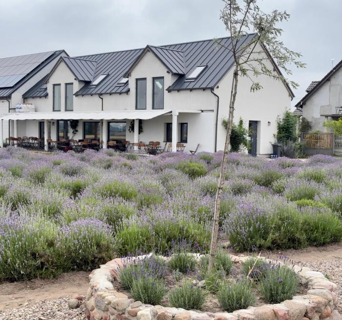 Apartament Lawendowe Zdroje