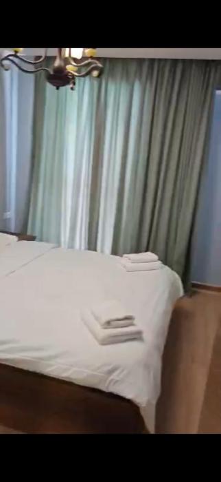 GEORGIA, bakuriani, orbi apartments