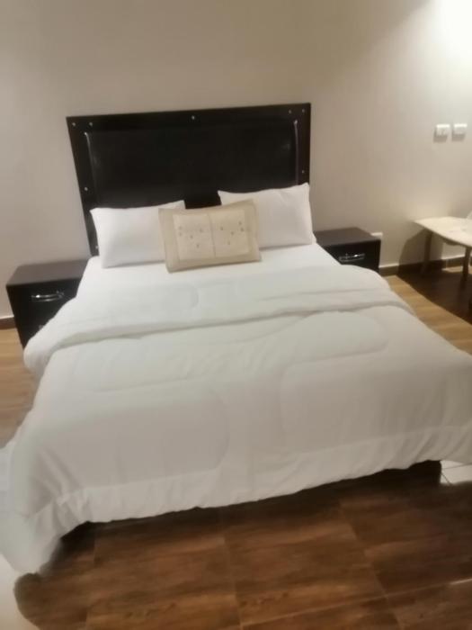 الدقى ميدان المساحه