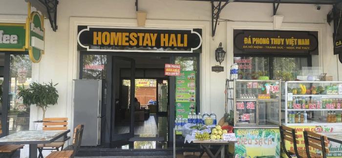 Homestay Hali