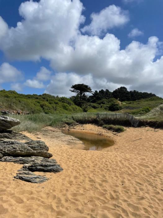 Pornic1 flat near beach garden golf Pool 1 bedroom