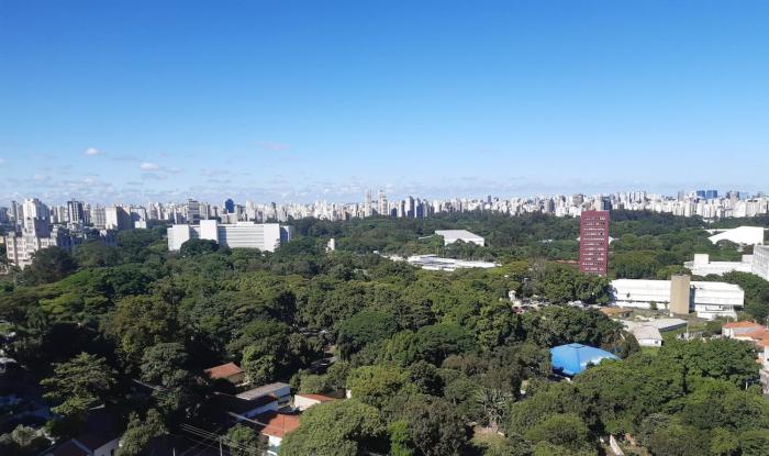 Ibirapuera Park View