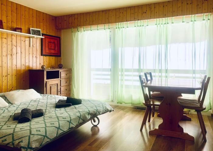 Large renovated studio for rent in Veysonnaz 4 Vallées