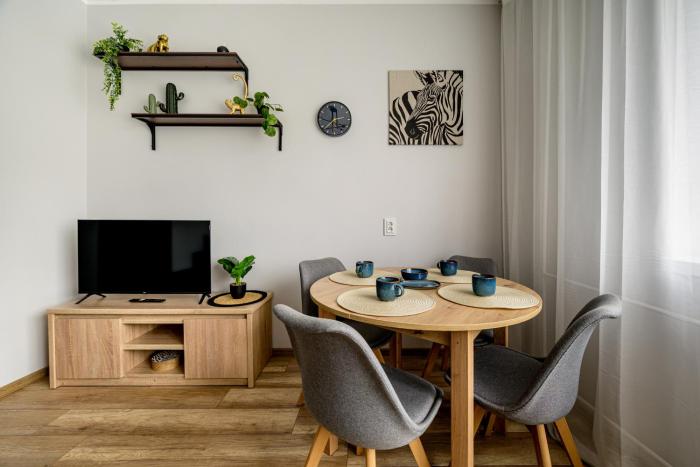 RentPlanet - Studio Zdrowa