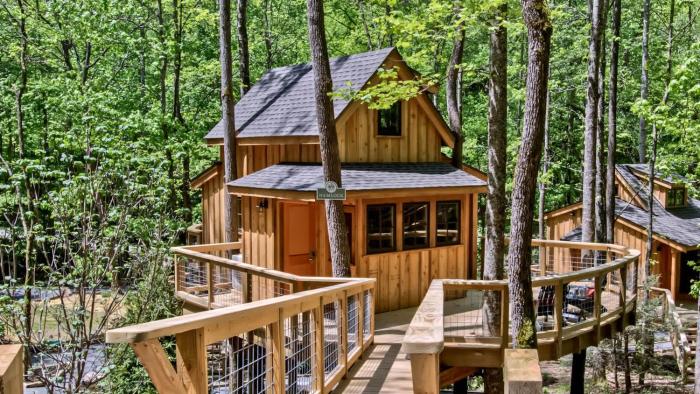 The Hemlock in Treehouse Grove at Norton Creek