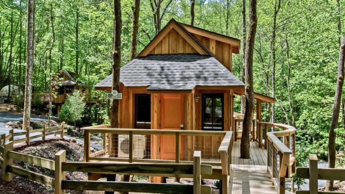 The Elm in Treehouse Grove at Norton Creek
