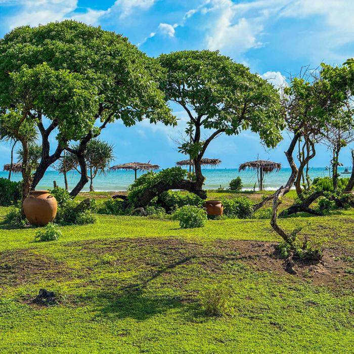 MareCoves Resort & Glamping