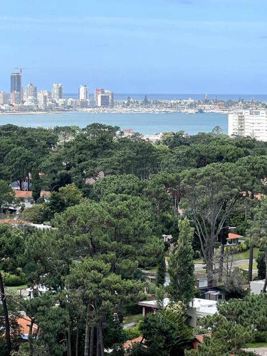 Playa Mansa Vista al Mar