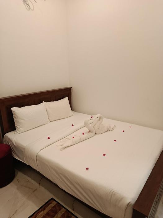 Shamri villa