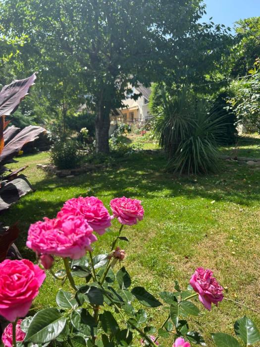 Peaceful Countryside Getaway