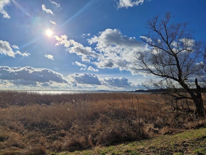 Ferienhaus Köhler am Walde, Urlaub mit Hund, Lütow