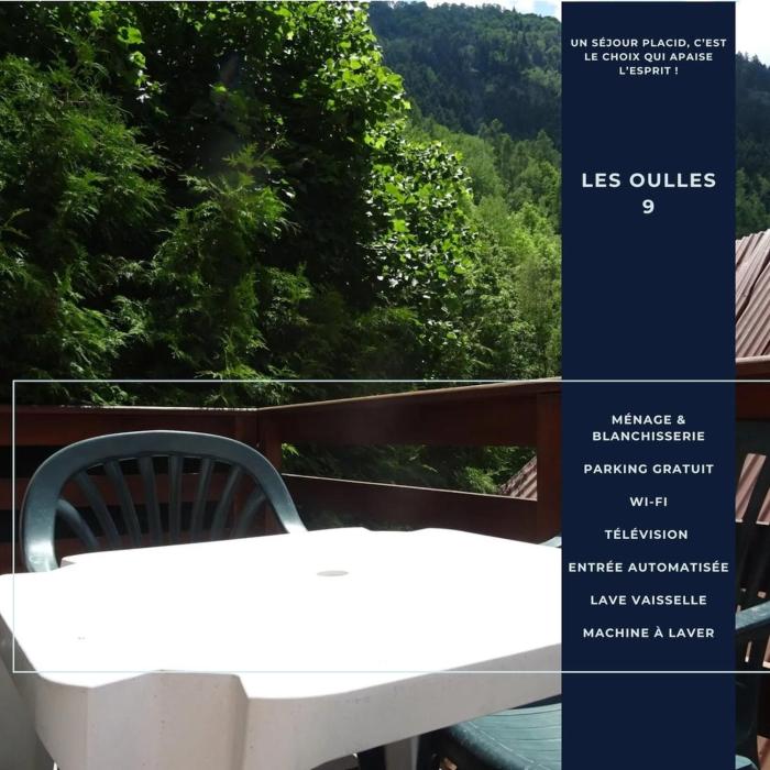 Les Oulles 9 - WIFI - Piscine - Terrasse