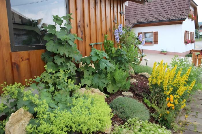 Ferienwohnung Boch Schluchsee