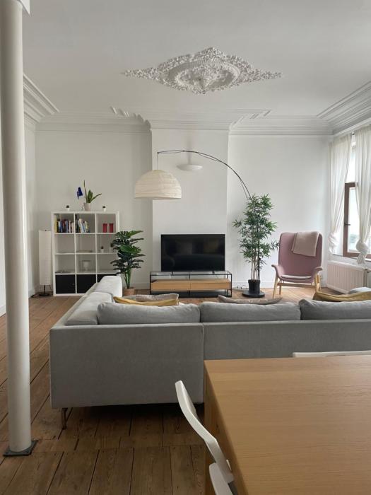 Charming apartment in the Brussels quarter of Ixelles