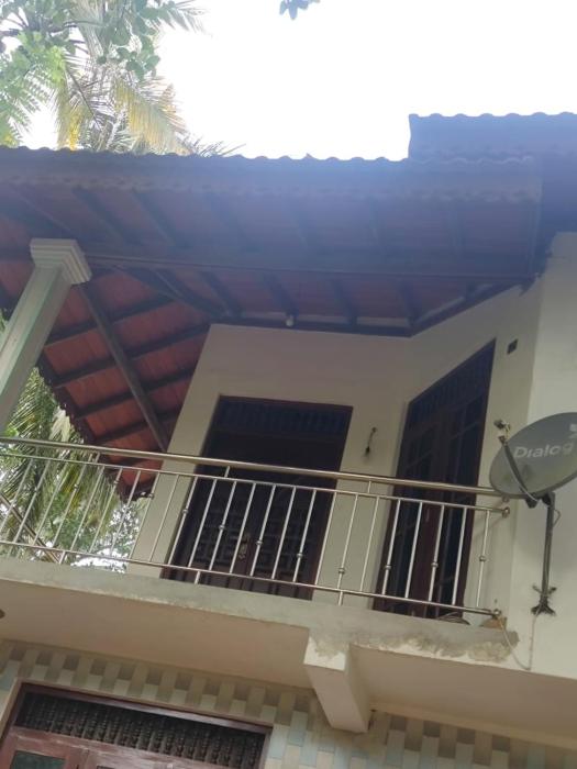 Country Comfort Homestay