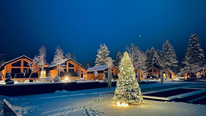 Phoenix Medical Resort