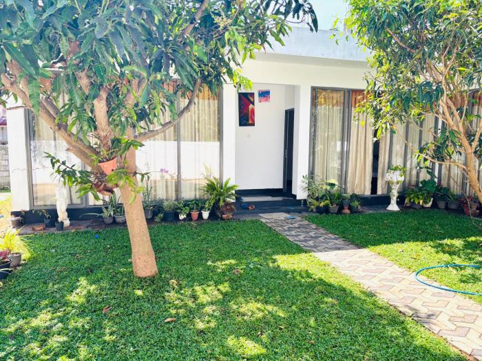 Calm Cove Homestay