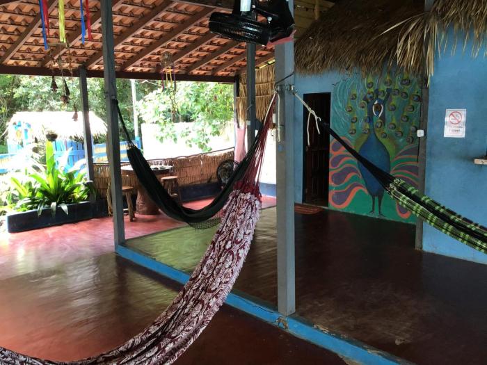 REDÁRIO Botos de Alter