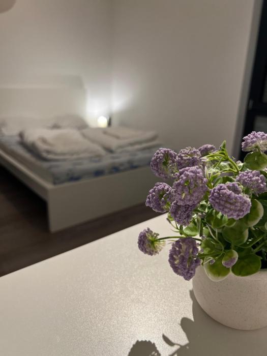 Berlin Central Apartment