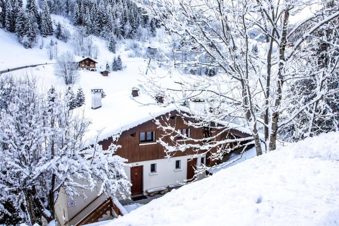 3 bedrooms, 7-8 guests, ski-in out, great view