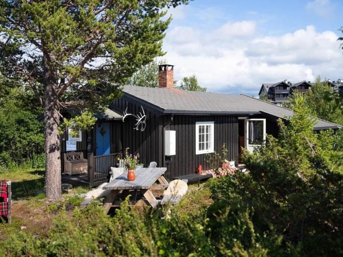 6 Bed traditional mountain cabin in Geilo - close to skiing and hiking