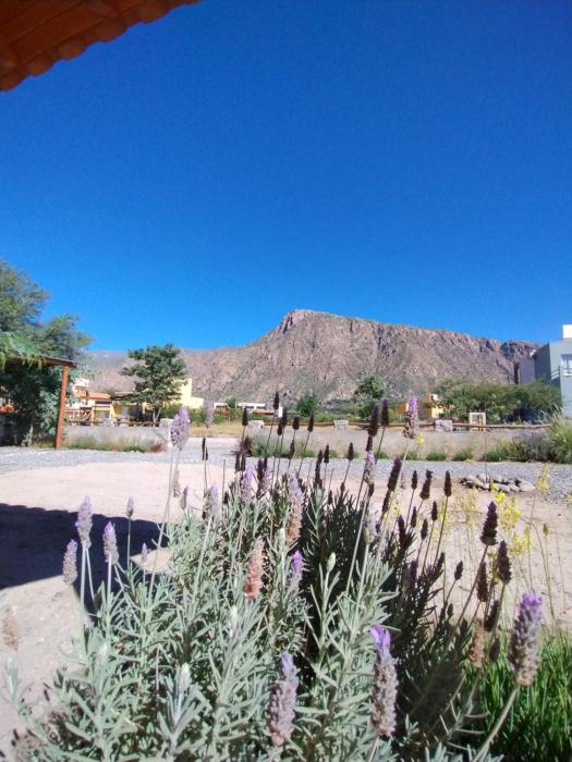El Aromo Cafayate