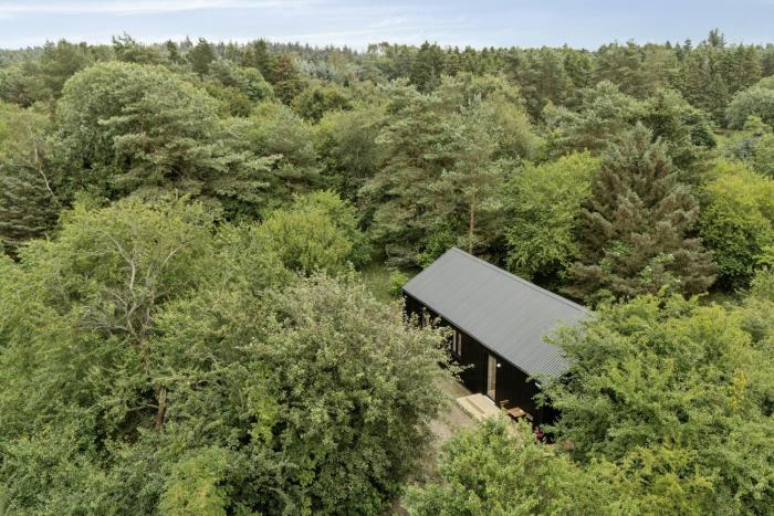 Architect-Designed Wooden House At Ertebølle