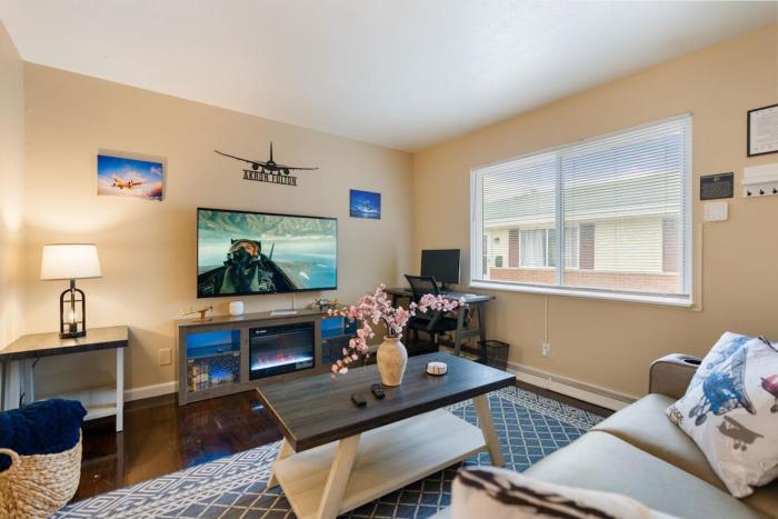 Akron 2 Bed 1 Bath Flight Themed Oasis Dog Friendly